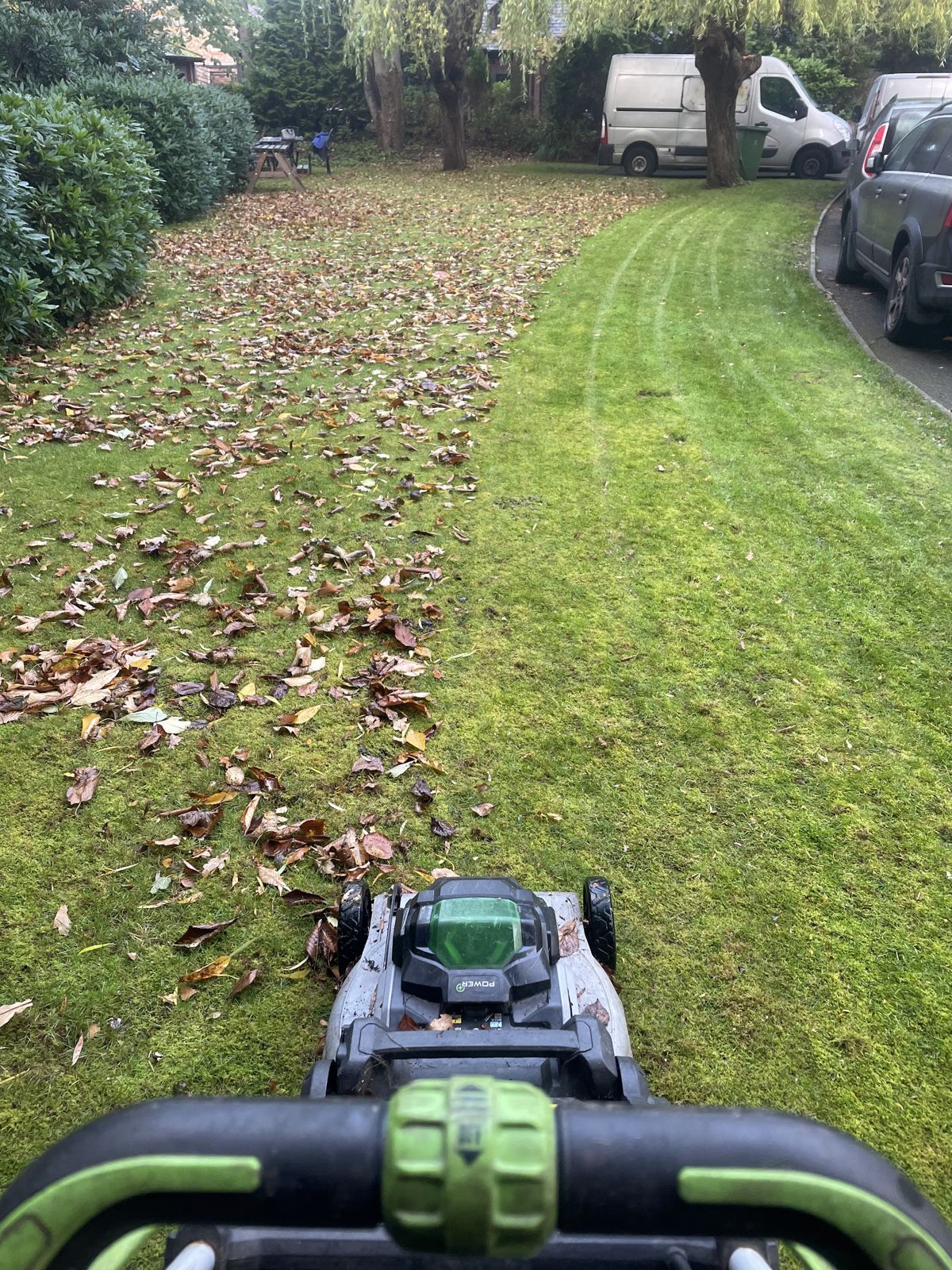 Looking over the mower handle down a freshly cut strip of lawn scattered with autumn leaves