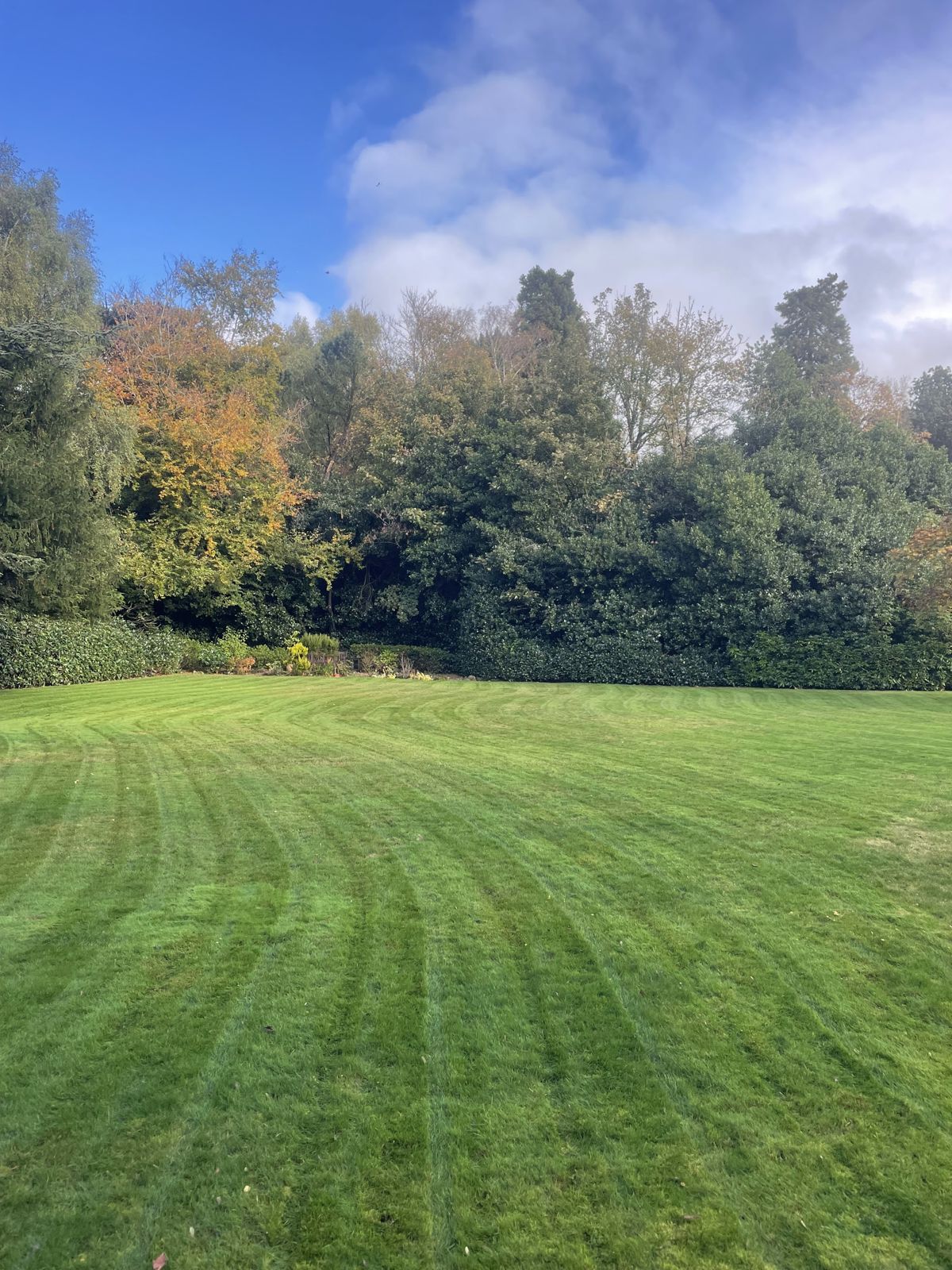 A large lawn mown in crisp stripes with autumn trees behind